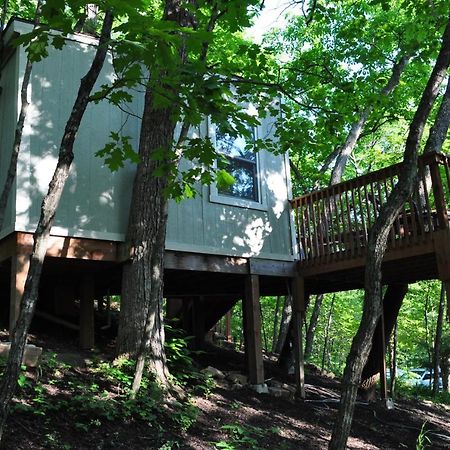 Seven Oaks - Treehouse With Deck Vila Lenexa Exterior foto